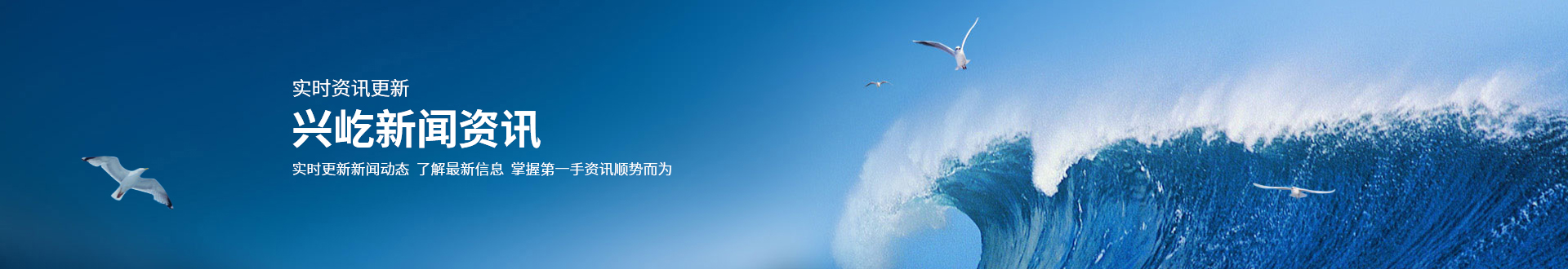 ����� -jinnianhui | jinnian