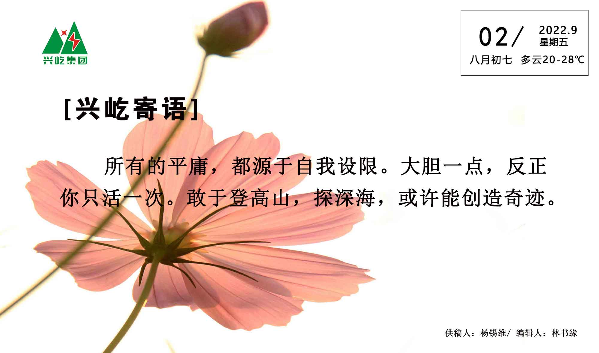 ����� -jinnianhui | jinnian