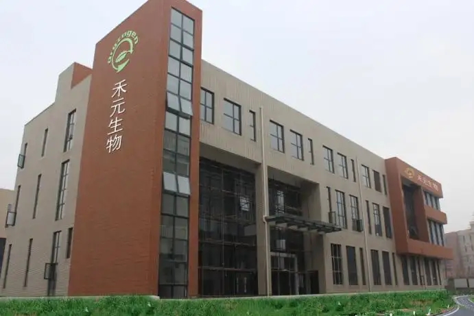 ����� -jinnianhui | jinnian