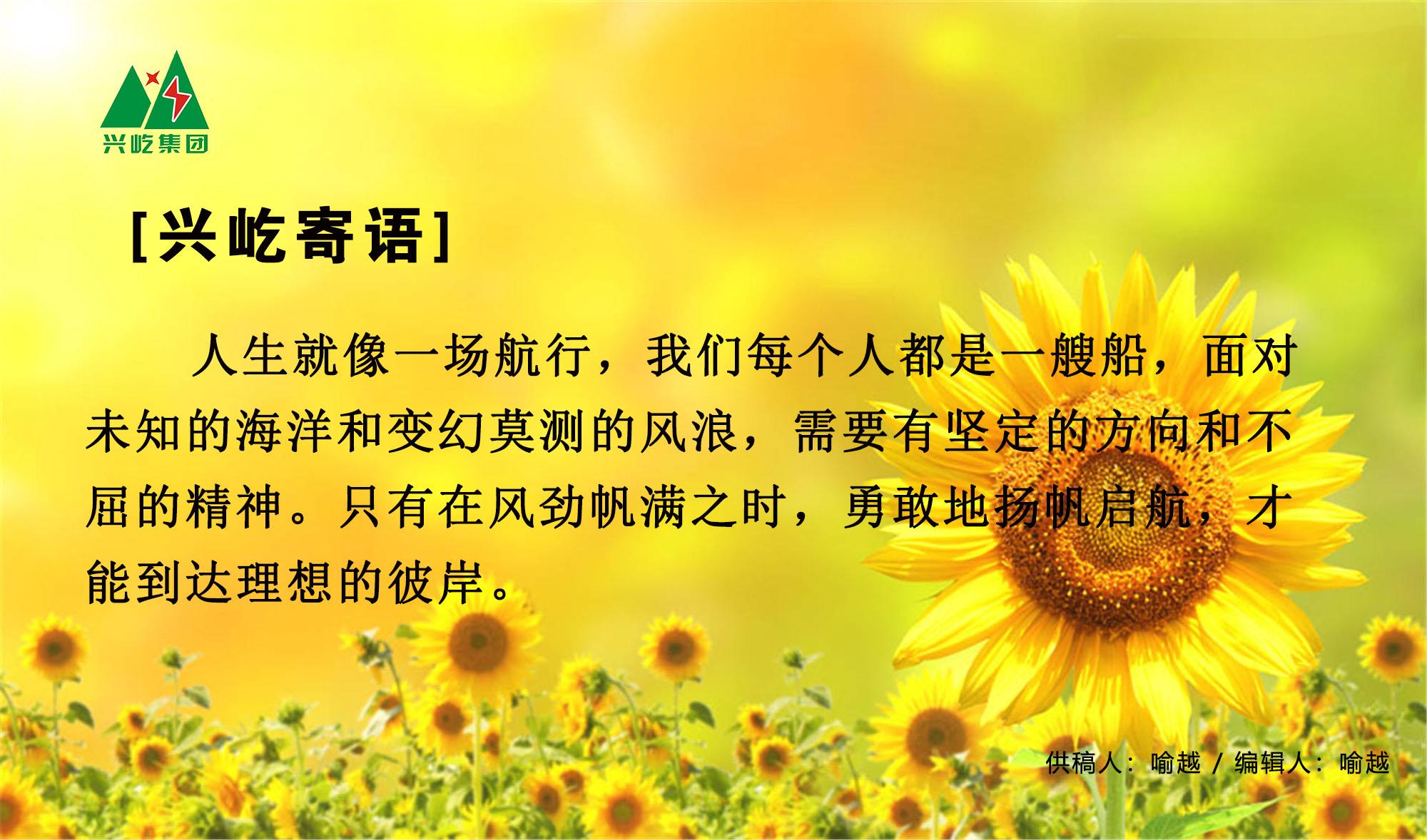 ����� -jinnianhui | jinnian